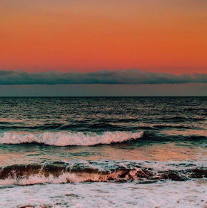 Meet your Posher, Zoë